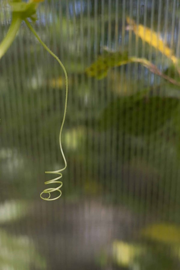 Comment personnaliser sa moto pour une conduite adaptée aux seniors ?